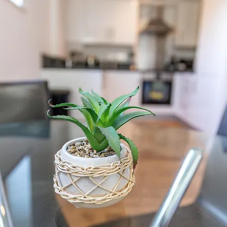 Apartmán Elegant Shire House Sheffield
